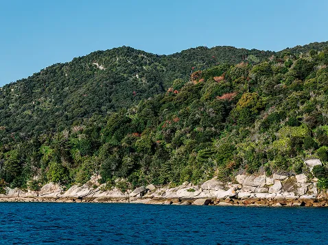 photo de la côte de Miyajima avec des montagnes
