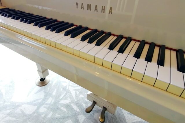 [news]JAZZピアノ演奏 パーカッション演奏 6月のお知らせ♪